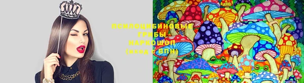 меф Бородино