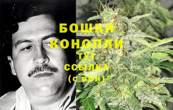 шишки Бугульма