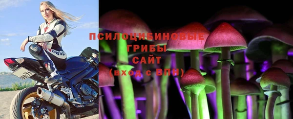меф Бородино