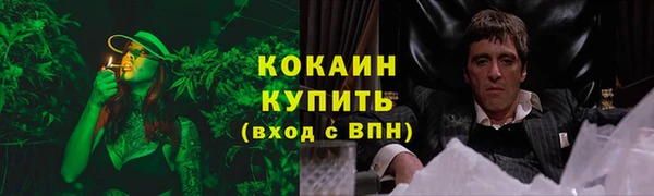 шишки Бугульма