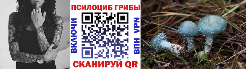 Купить  Лянтор  Псилоцибиновые грибы прущие грибы 